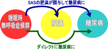 SASの肥満が関与して糖尿病に…